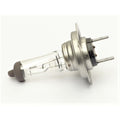 Halogen H7 Bulb