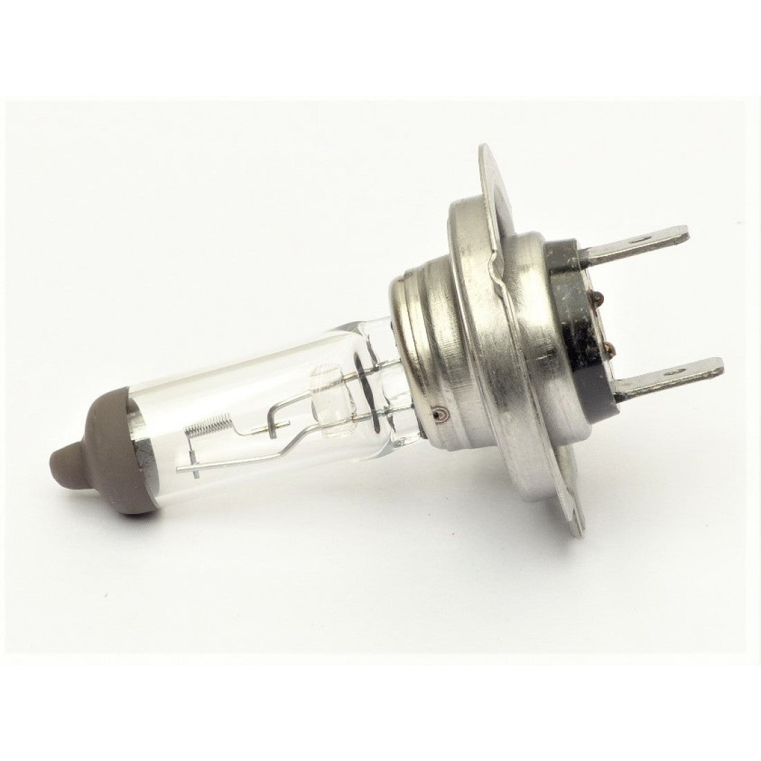 Halogen H7 Bulb