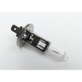 Halogen H1 Bulb