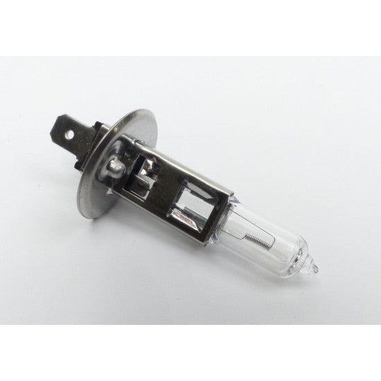 Halogen H1 Bulb