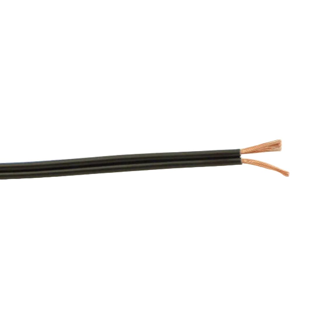 Speaker Cable