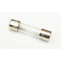 Glass Cartridge Fuse 25mm