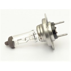 Halogen H7 Bulb