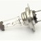 Halogen H7 Bulb