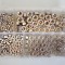 Stainless Steel Full Nut Kit Stainless Steel Full Nut Kit