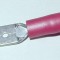 Red Male Blade Red Male Blade